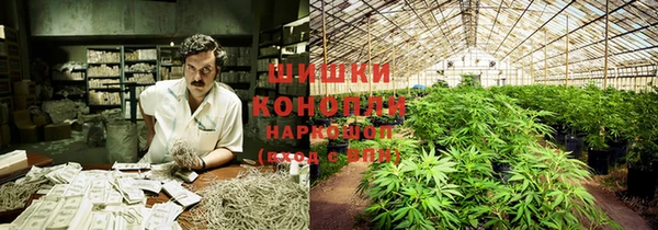 2c-b Богородицк
