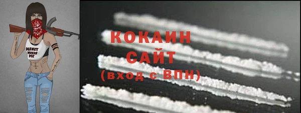 2c-b Богородицк